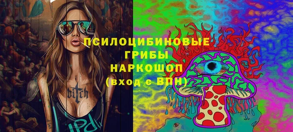 гидропоника Белокуриха