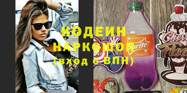 стафф Новозыбков