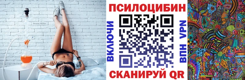 Псилоцибиновые грибы Cubensis  Называевск 